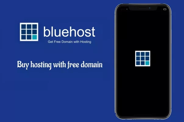 Bluehost Black Friday Sales For Small Businesses