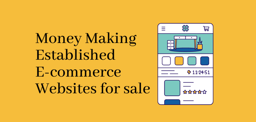2 Money Making Established best E-commerce Website for sale